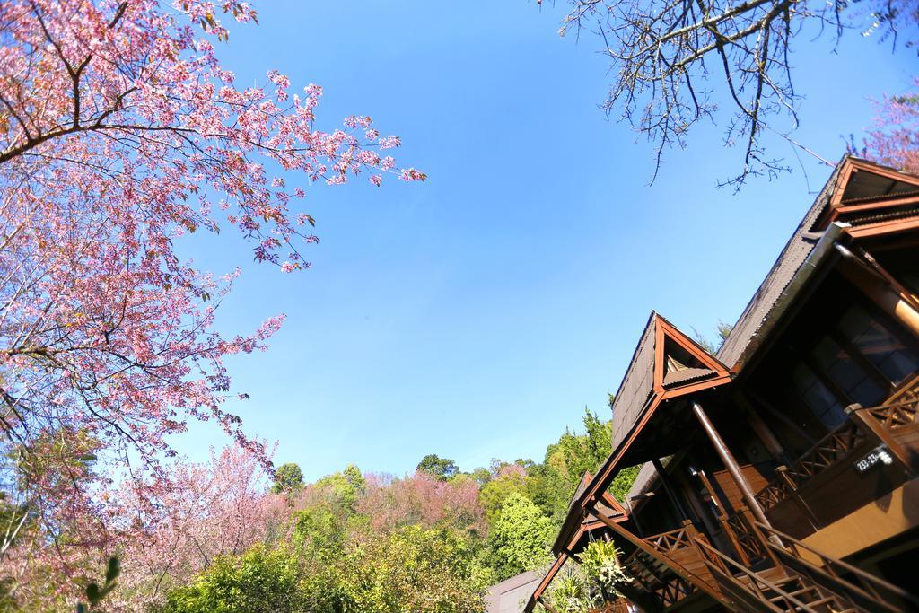 Angkhang Nature Resort Fang Eksteriør bilde